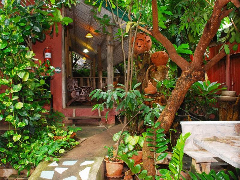 Sukhothai Guest House Rom bilde